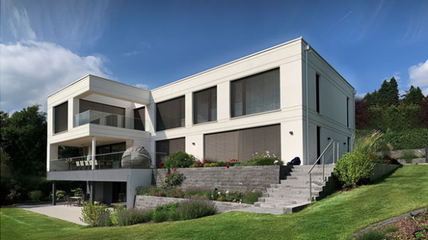 picture of Single-Family Homes and New Build 